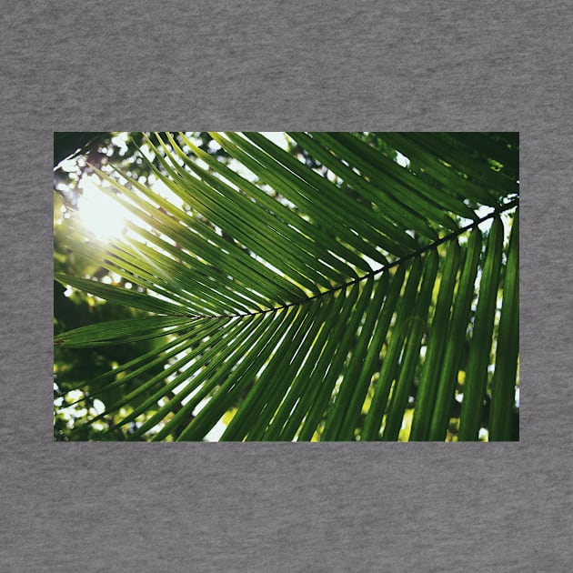 Tropical Palm Leaf by NewburyBoutique